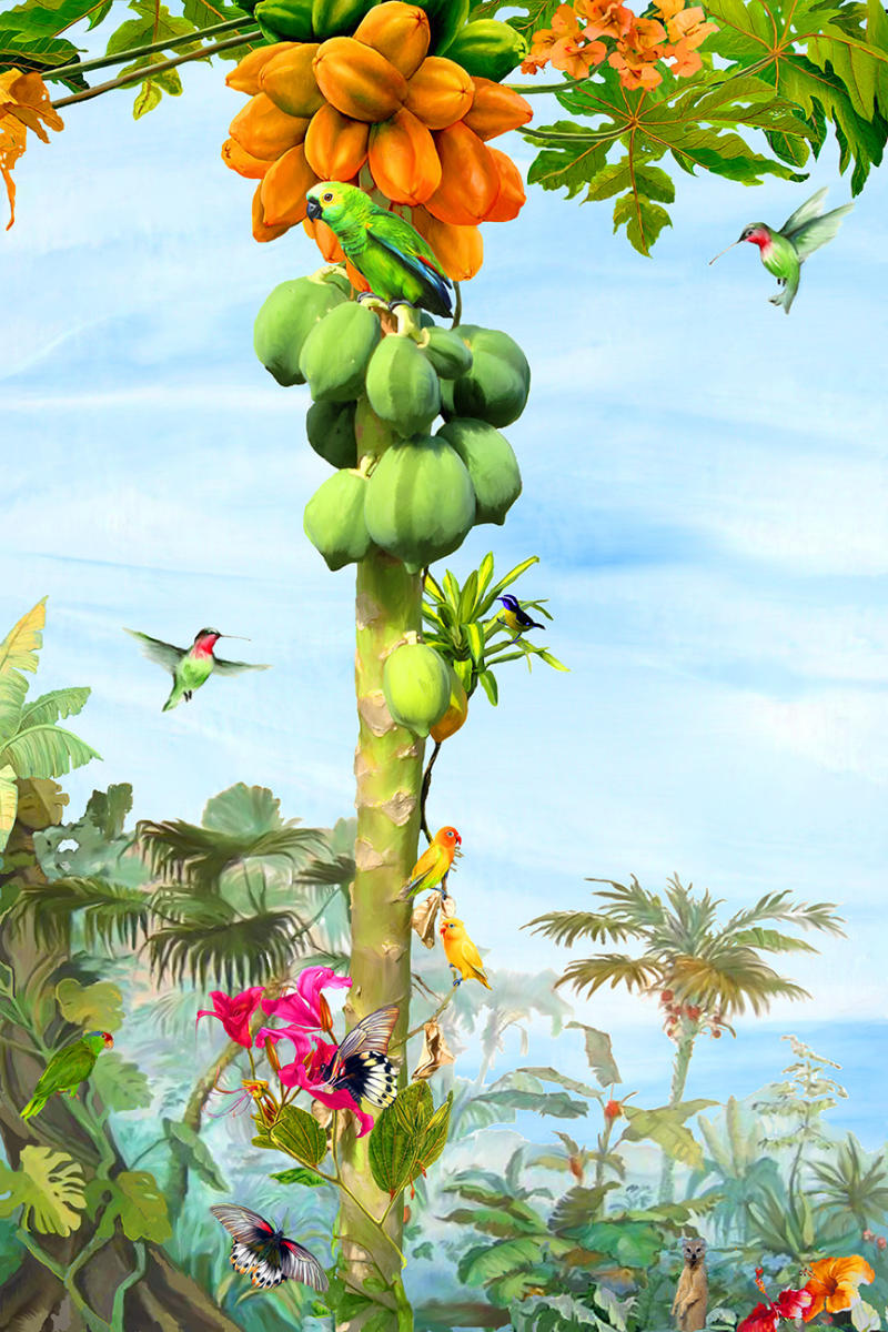 Papaya : Botanicals : Jonna White Gallery