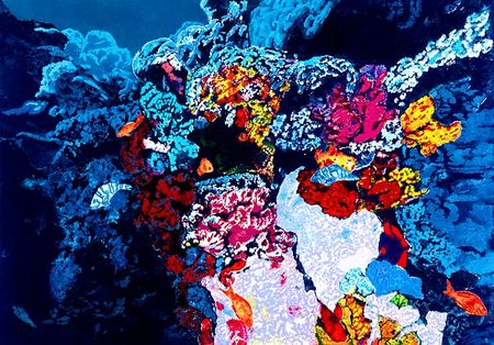 Rainbow Reef 
 : Underwater : Jonna White Gallery