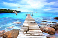 Pelican Pier
