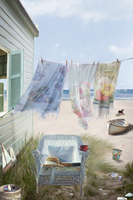 Beachcomber's Backyard