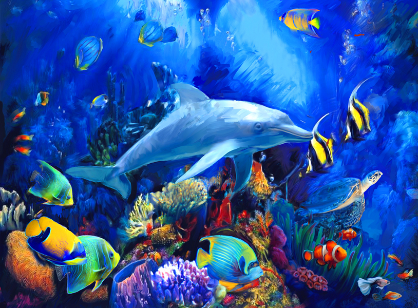 Blue Dolphin : Underwater : Jonna White Gallery