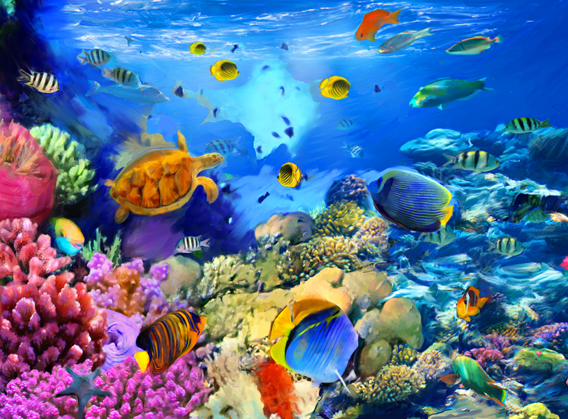 Sea Life : Underwater : Jonna White Gallery