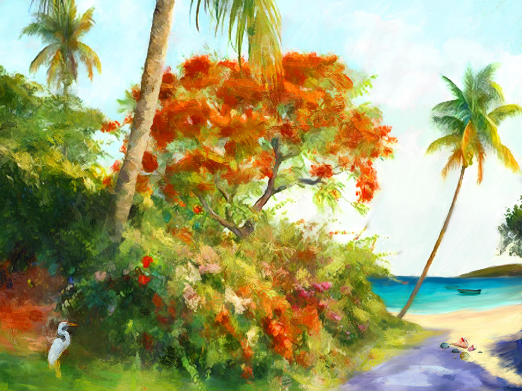 Flamboyant : Island Scenes : Jonna White Gallery