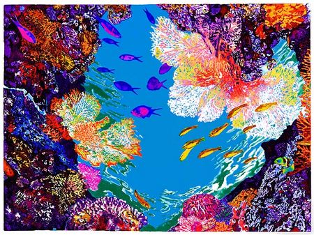 Painted Reef : Underwater : Jonna White Gallery