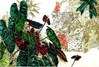 Jungle Fever