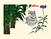 Leopardo