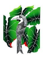 Toucan
